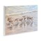 Stupell Industries Follow Me Sandpiper Painting Wall Plaque By Linda Sperruzzi